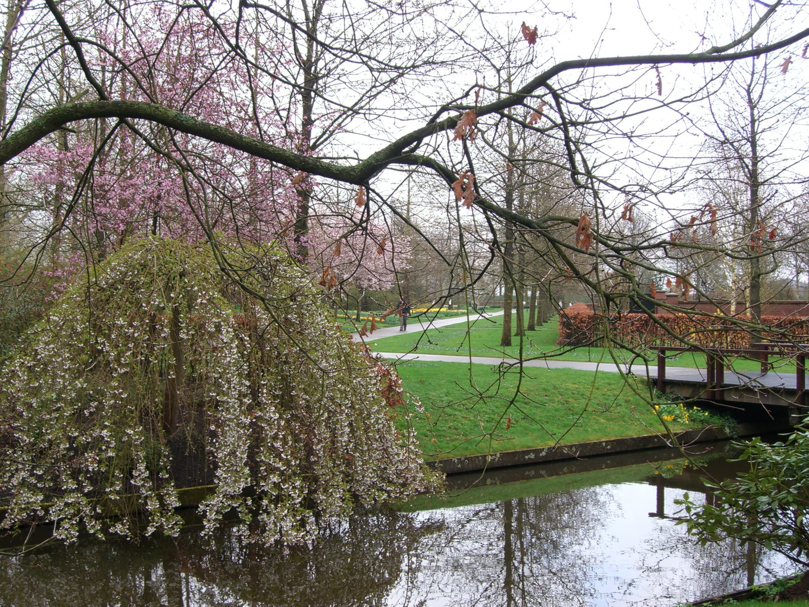 Netherlands Keukenhof